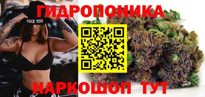 дживик Малгобек