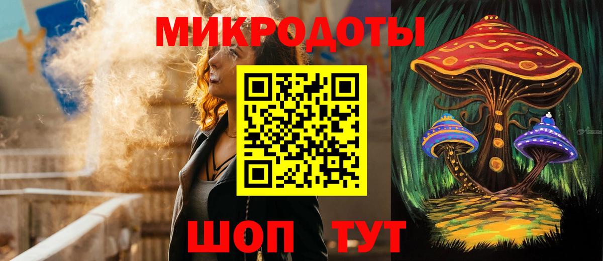 Псилоцибиновые грибы Psilocybe Бугульма