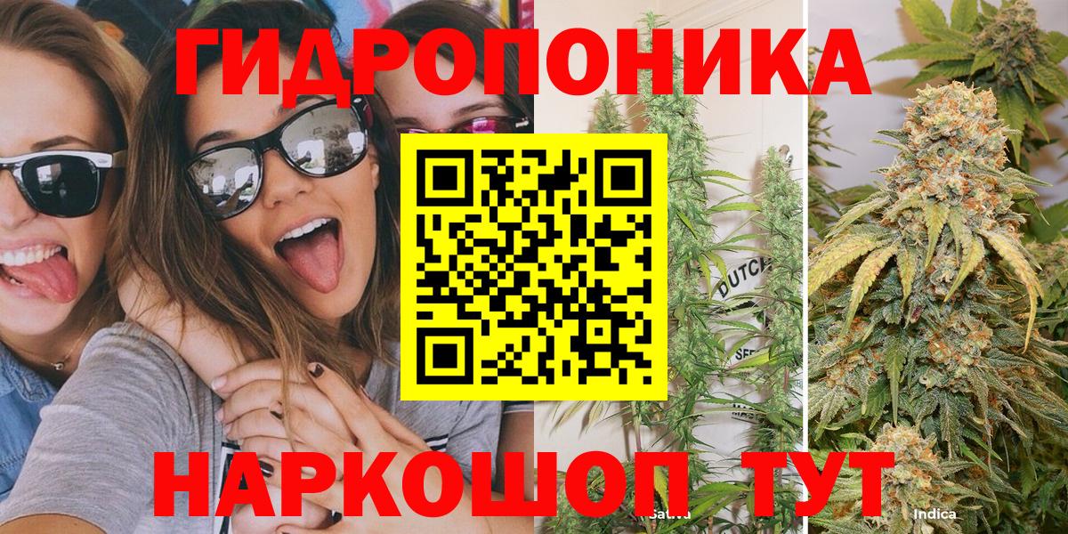Бошки Шишки сатива  Канабис VHQ  Бугульма  Вход с VPN  Конопля план 